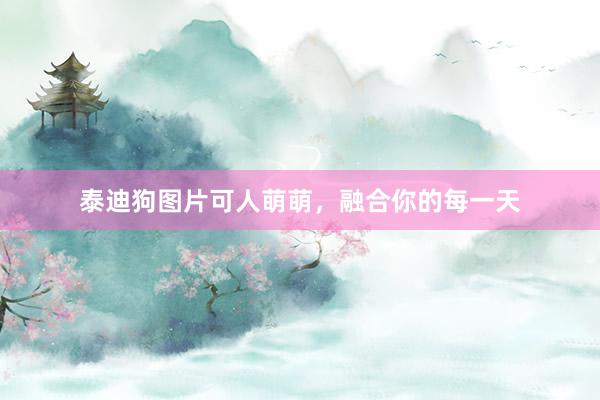 泰迪狗图片可人萌萌，融合你的每一天