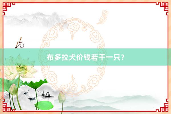 布多拉犬价钱若干一只？
